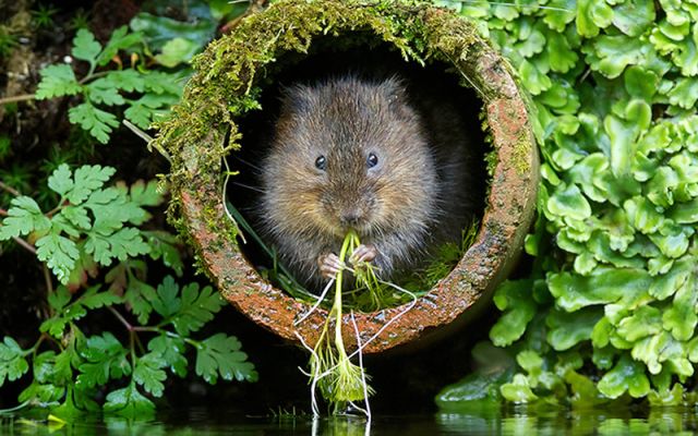 A big opportunity to make a big difference